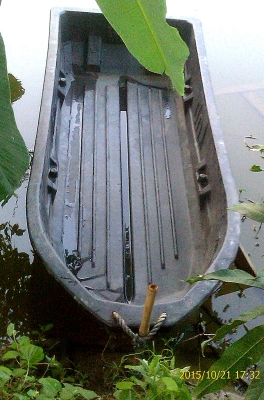 ขายเรือเมกซ์ไลนเนอร์