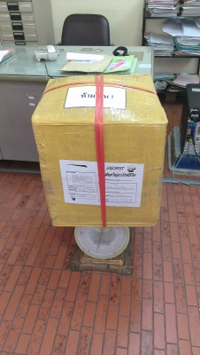 ขายปั้มน้ำ Mitsubishiรุ่น WP-305Q3 (300W)