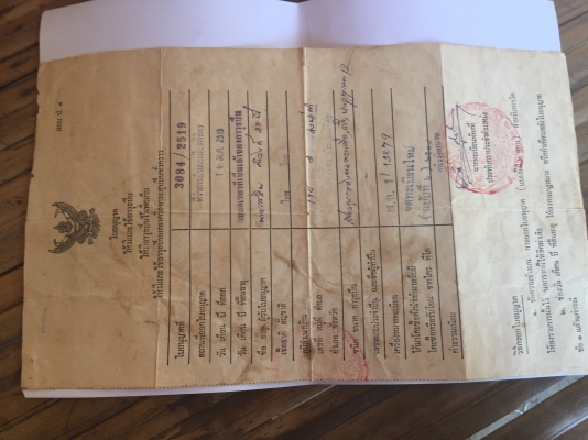 ขายใบ เดี่ยวลูกซองยาว