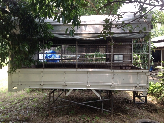 ขาย กระบะ 6 ล้อ NQR- 5.50 m. คอกเหล็กสวยๆ ครับ ขาย กระบะ 6 ล้อ NQR- 5.50 m. คอกเหล็กสวยๆ ครับ