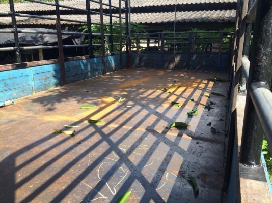 ขาย กระบะ 6 ล้อ NQR- 5.50 m. คอกเหล็กสวยๆ ครับ ขาย กระบะ 6 ล้อ NQR- 5.50 m. คอกเหล็กสวยๆ ครับ