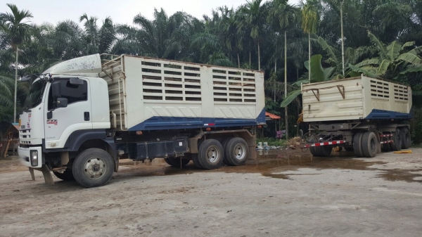 รถอีซูซุ 10 ล้อดั้ม FXZ 360 แรงม้า. ปี 54 , ( ขายแม่ , ลูก. ) , ( รถวิ่ง 11x,xxx กม. )    สนใจติดต่อ  081 - 6079515