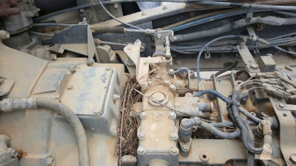 รถอีซูซุ 10 ล้อดั้ม FXZ 360 แรงม้า. ปี 54 , ( ขายแม่ , ลูก. ) , ( รถวิ่ง 11x,xxx กม. )    สนใจติดต่อ  081 - 6079515