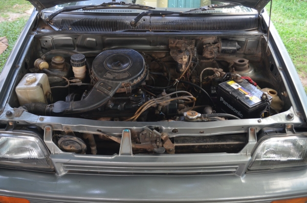 มิร่า มิร่า