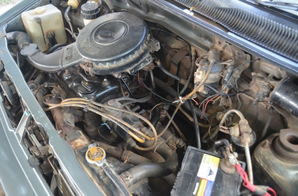 มิร่า มิร่า