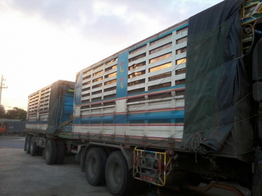 รถพ่วง ISUZU FXZ 360 ปี 2010 ดั้มเกษตร ลูก 3 คาน กระบะสามมิตร