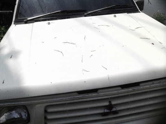 ขายแยก อะไหล่ L200 แค็บ รายละเอียดด้านในครับ ขายแยก อะไหล่ L200 แค็บ รายละเอียดด้านในครับ