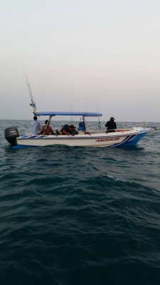 เรือไฟเบอร์ 19 ฟุต เครื่อง yamaha 50 4 stroke