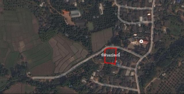 ขายที่ดิน อ.เชียงดาว จ.เชียงใหม่ 1-0-40