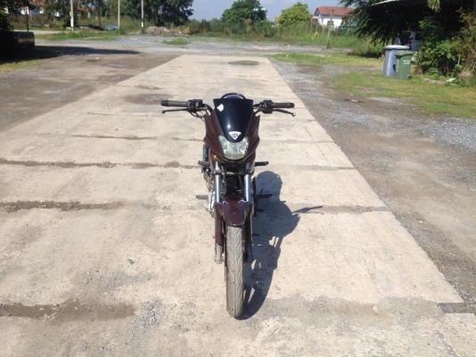 มอเตอร์ไซค์Tiger boxer