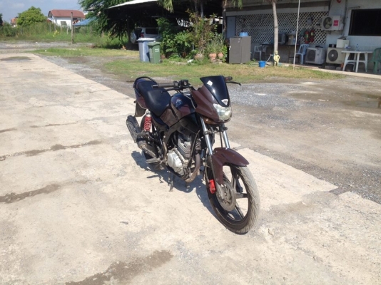 มอเตอร์ไซค์Tiger boxer