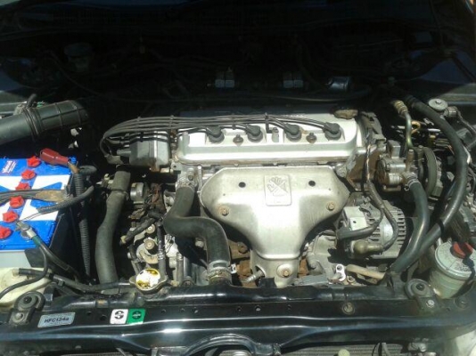 Accord งูเห่า ปี 1999  2.3 vtec