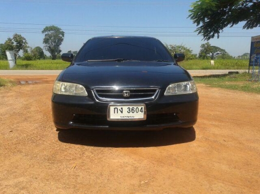 Accord งูเห่า ปี 1999  2.3 vtec