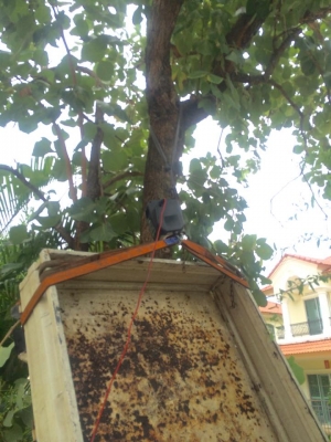 ขายwinch 2000LB แบบพกพา รีโหมดไร้สาย สะดวก ใช้งานงาน ไม่กินไฟ น้ำหนักเบา ใช้ลาก atv เรือ สิ่งของ น้ำหนักมากๆ รับแรงดึง ได้907กิโลกรัม ราคา3800บาท ดูของพระราม2089 0211090Id champ_rama2