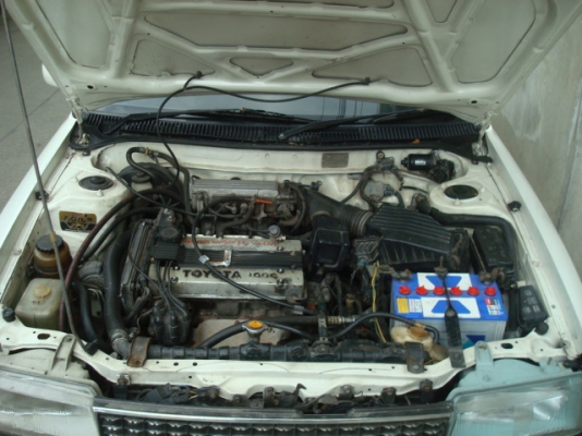 โดเลมอนสวยๆครับ