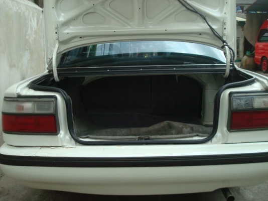 โดเลมอนสวยๆครับ