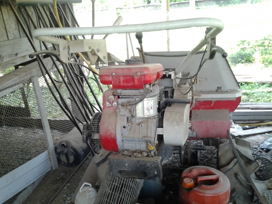 ขายตามสภาพรถเกียวเล็ก. เกียวแล้วมัด. สภาพรถสวย ขายตามสภาพรถเกียวเล็ก. เกียวแล้วมัด. สภาพรถสวย