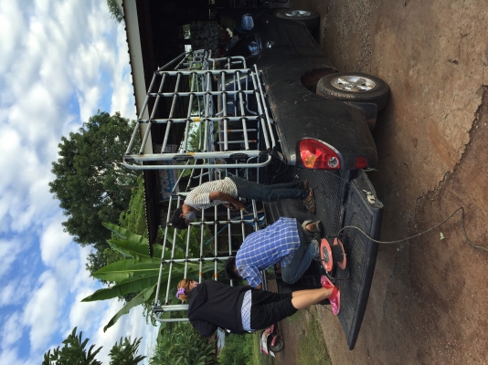 ขายคอก5000บาท อยู่สกลบ้านม่วง 0871691151