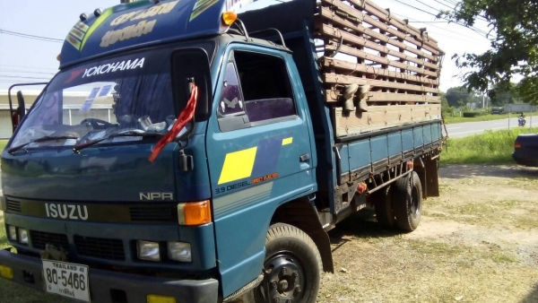 isuzu 115 NPR รถห้างแท้ พร้อมใช้ เครื่องดี คัชชีสวย ยางดี6เส้น