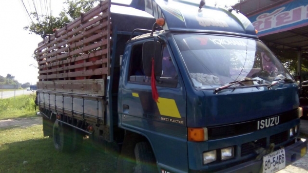 isuzu 115 NPR รถห้างแท้ พร้อมใช้ เครื่องดี คัชชีสวย ยางดี6เส้น