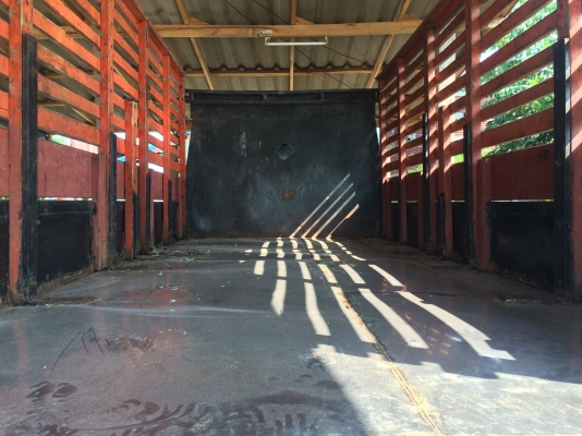 isuzu 115 NPR รถห้างแท้ พร้อมใช้ เครื่องดี คัชชีสวย ยางดี6เส้น