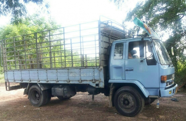 หกล้อ อีซูซุ FTR32H195 รถห้าง แอร์ เวอร์ ทิฟฟี ยาง900 ช่วงยาว 5.50ม ทะเบียนพร้อมโอน ราคา 495,000บ ต่อรองได้ หกล้อ อีซูซุ FTR32H195 รถห้าง แอร์ เวอร์ ทิฟฟี ยาง900 ช่วงยาว 5.50ม ทะเบียนพร้อมโอน ราคา 495,000บ ต่อรองได้