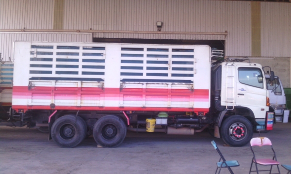 ขาย กระบะ10ล้อ ไม่ดัมพ์ ยาว 6.20 เมตร