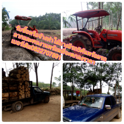 ซื้อไม้ยาง