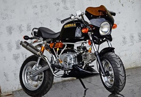 รถต้นแบบ MSX มังกี้ กอลิล่า แต่ง มี100 แบบให้เลือก