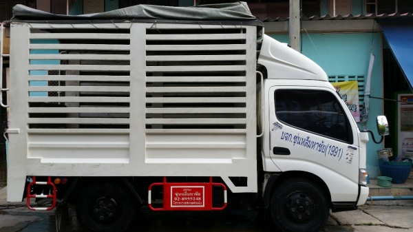 ขายด่วน รถบรรทุก 4 ล้อ Hino expert 300