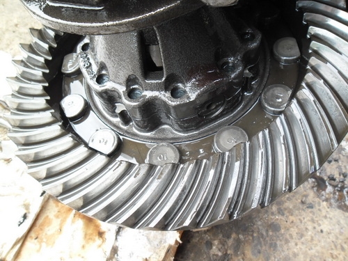 -ขายแล้ว-