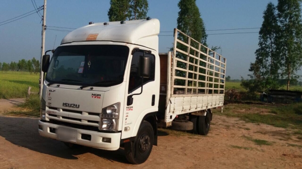 ขายรถบรรทุก ISUZU ELF NQR 175 ปี53 ยาว 5.50 ม พร้อมใช้งานครับ