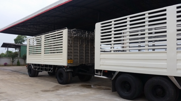 ขายรถบรรทุก 10 ล้อ