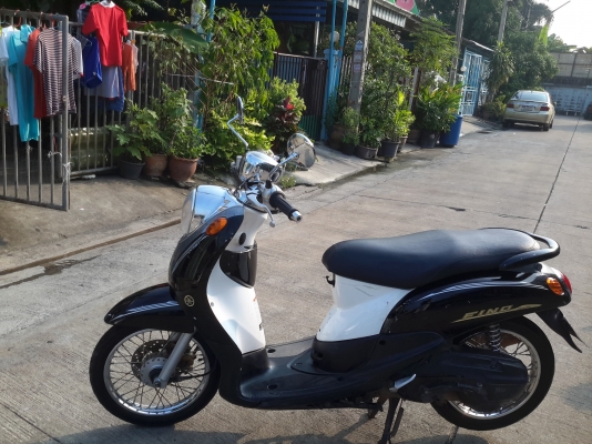 ขายฟีโน่ปี54เครื่องดี