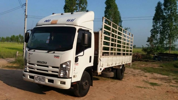 ขายรถ6ล้อ ISUZU NQR175แรง ปี53 ยาว5.50ม. เครื่องดี แคชซีสวย แอร์เย็น สภาพพร้อมใช้งาน เอกสารพร้อมโอน สนใจโทร 090-8588220คุณนะ 093-3258446คุณบิว หรือเข้าดูสินค้าอื่นๆได้ที่ www.truck.in.th/498 หรือเพจFacebook ณรงค์ ซื้อขายรถมือสอง (เว็บไซต์ส่วนตัว) หรือFace