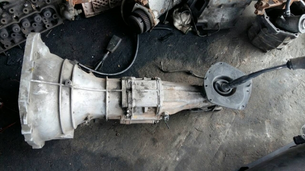 เกียร์ ฟรอด