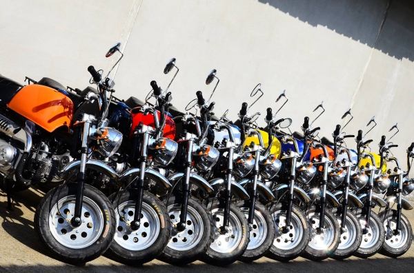 มังกี้ กอลิล่า เดิม ราคาสุดๆ เริ่มต้นเพียง 2XXXX  แต่งๆๆ ลดราคาทุกรุ่นและมีของแถมอีกมากมาย  ด่วนๆๆ ลดๆๆ   เริ่มต้นราคา ที 22999