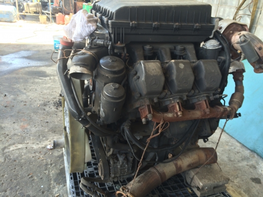 รถหัวคัสซี BENZ รถหัวคัสซี BENZ