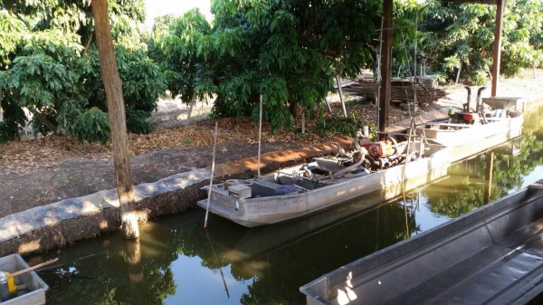 ขายเรือฉีดยาเรด้า พร้อมใช้งาน