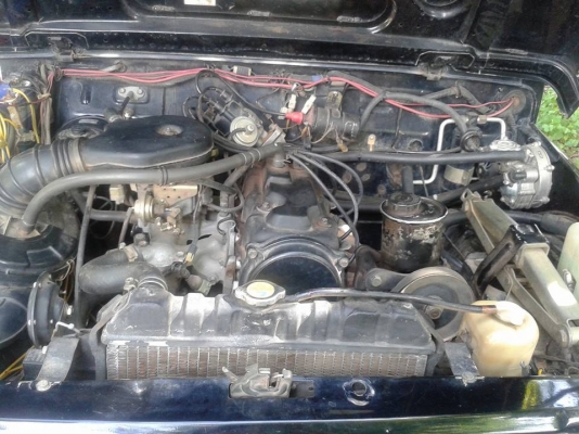 Honda caribian ตู้ปลา 1300