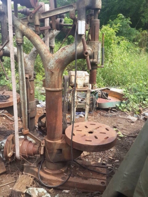 ขายสว่านกิ่งไม้