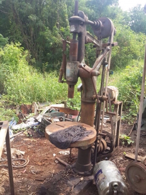 ขายสว่านกิ่งไม้