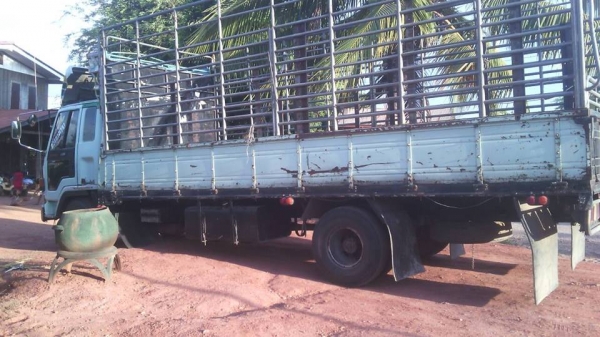 ขาย6ล้อร็อคกี้ FRR175ยางเล็ก 8.25R16 ยาว6.20เมตร พร้อมคอกเสริมข้าง แชชซีสวย สภาพวิ่งใช้งานประจำ เอกสารเล่มทะเบียนพร้อมโอน