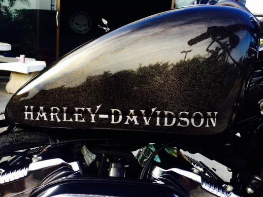 Sportster 1200 ปี2009 แต่ง48 ทะเบียนแท้ สมอ. Sportster 1200 ปี2009 แต่ง48 ทะเบียนแท้ สมอ.