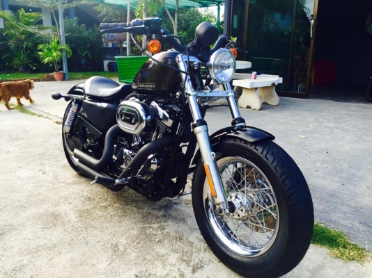 Sportster 1200 ปี2009 แต่ง48 ทะเบียนแท้ สมอ. Sportster 1200 ปี2009 แต่ง48 ทะเบียนแท้ สมอ.
