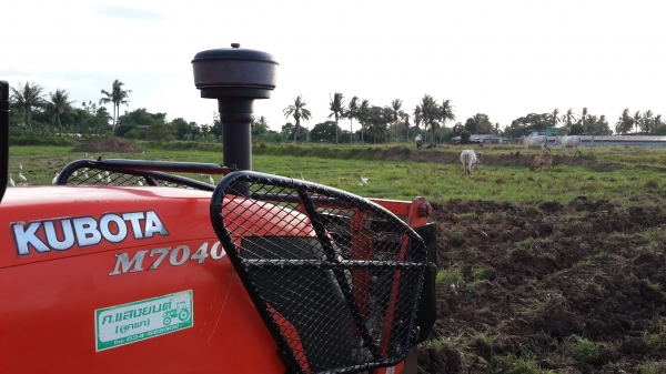 ขายโล ตราช้าง164.