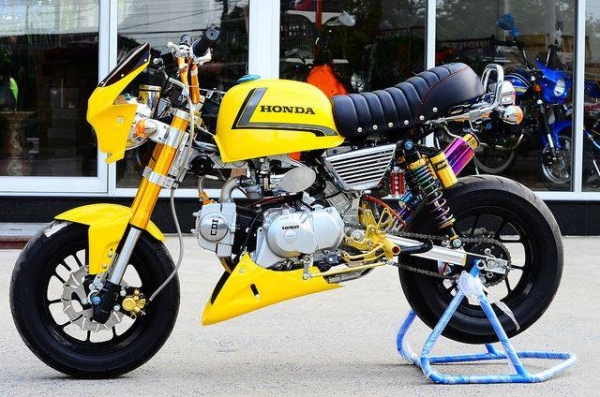 รถต้นแบบ MSX มังกี้ กอลิล่า แต่ง มี100 แบบให้เลือก