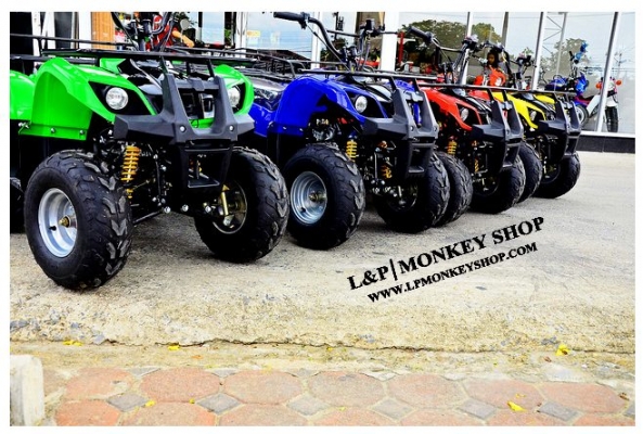 ลดราคาพิเศษ ❤ ｡◕‿◕｡**ATV mini  bear** เปลีนใหม่ ใส่เครือง 125cc โปรโมชั่นพิเศษ ลดราคาถูกมากๆๆ เริ่มต้าที่...  มีของแถม!!!รับประกัน1ปี