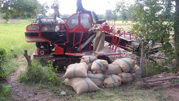 ขายรถพร้อมทำเงิน 199.000 รถเกี่ยวรองกระสอบ ศักพัฒนา BiG37.ดูรถหน้างานเลยครับ ทั้งคันเช็คสภาพ พร้อมใช้งาน