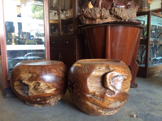 ขายก้อนรากไม้ปุ่มไม้สักเก่าโบราณ ขนาดเส้นรอบวง 1.5 เมตร ตันๆ หนักๆ